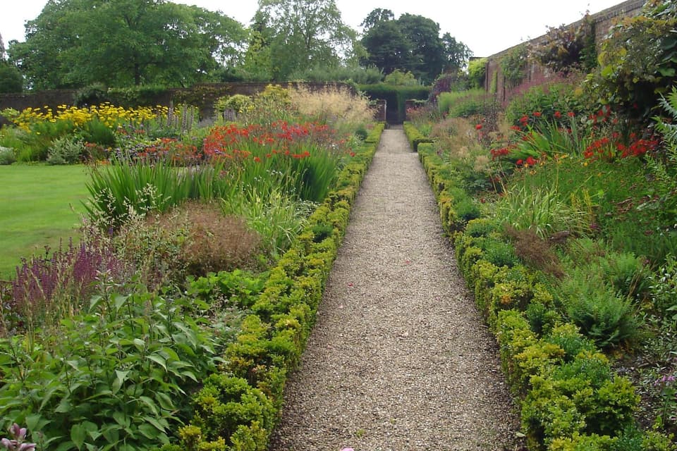 A deep summer border of red, yellow and purple flowers behind a clipped box edge.